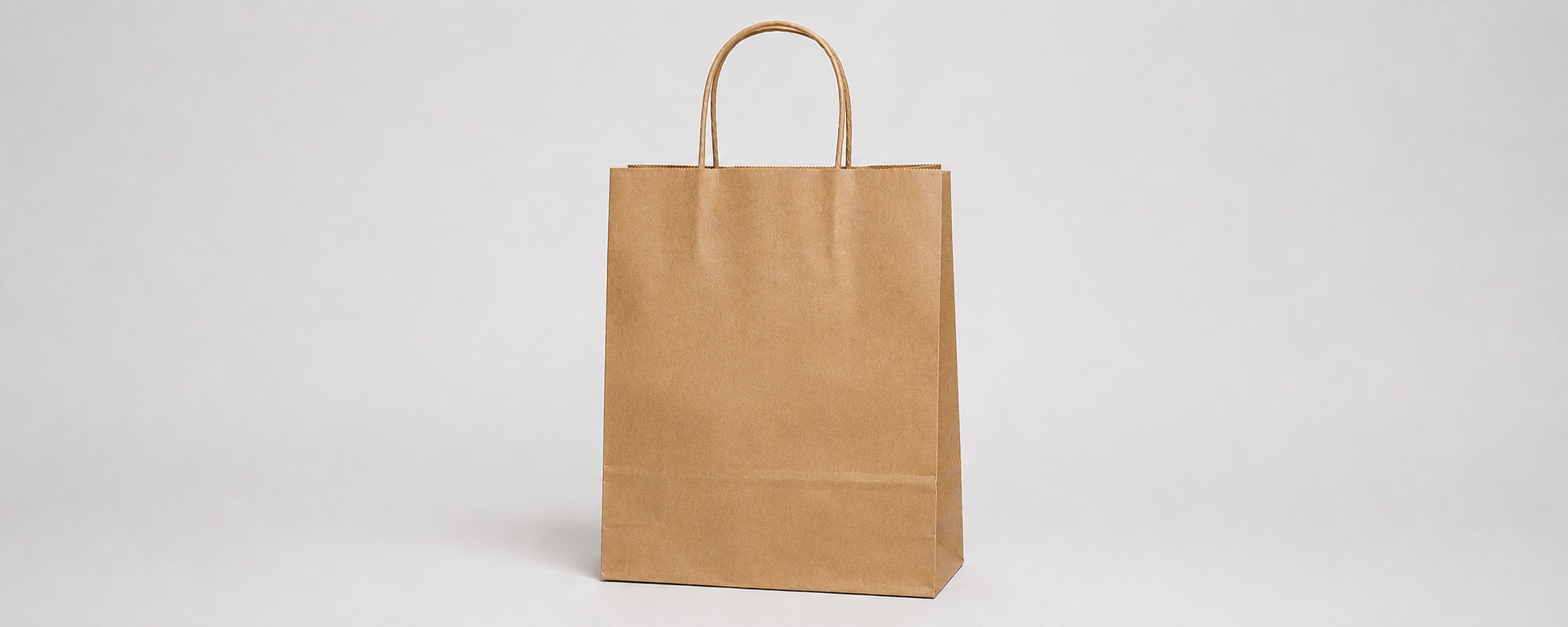 Plain kraft paper bag with twisted handles